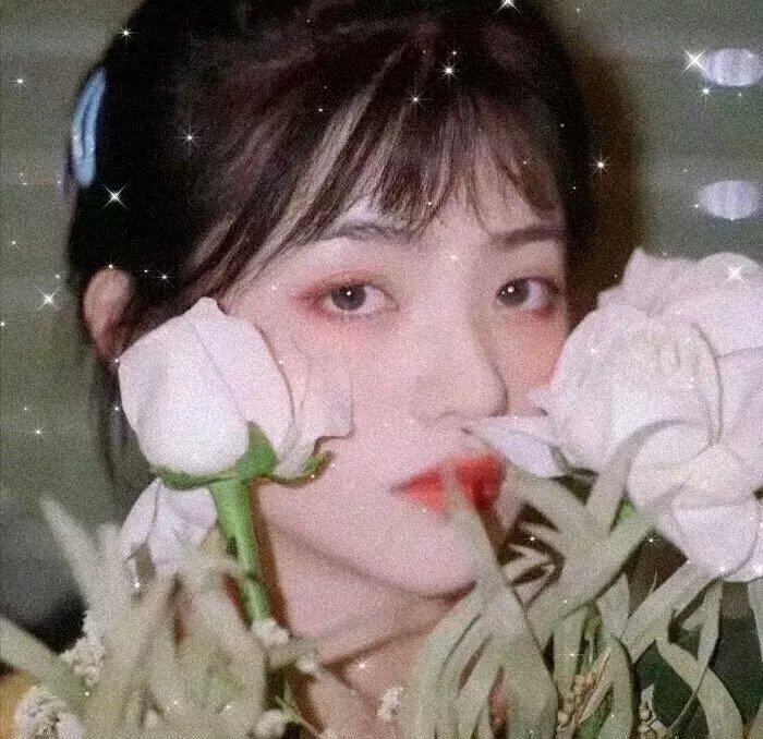 瑞士小姐